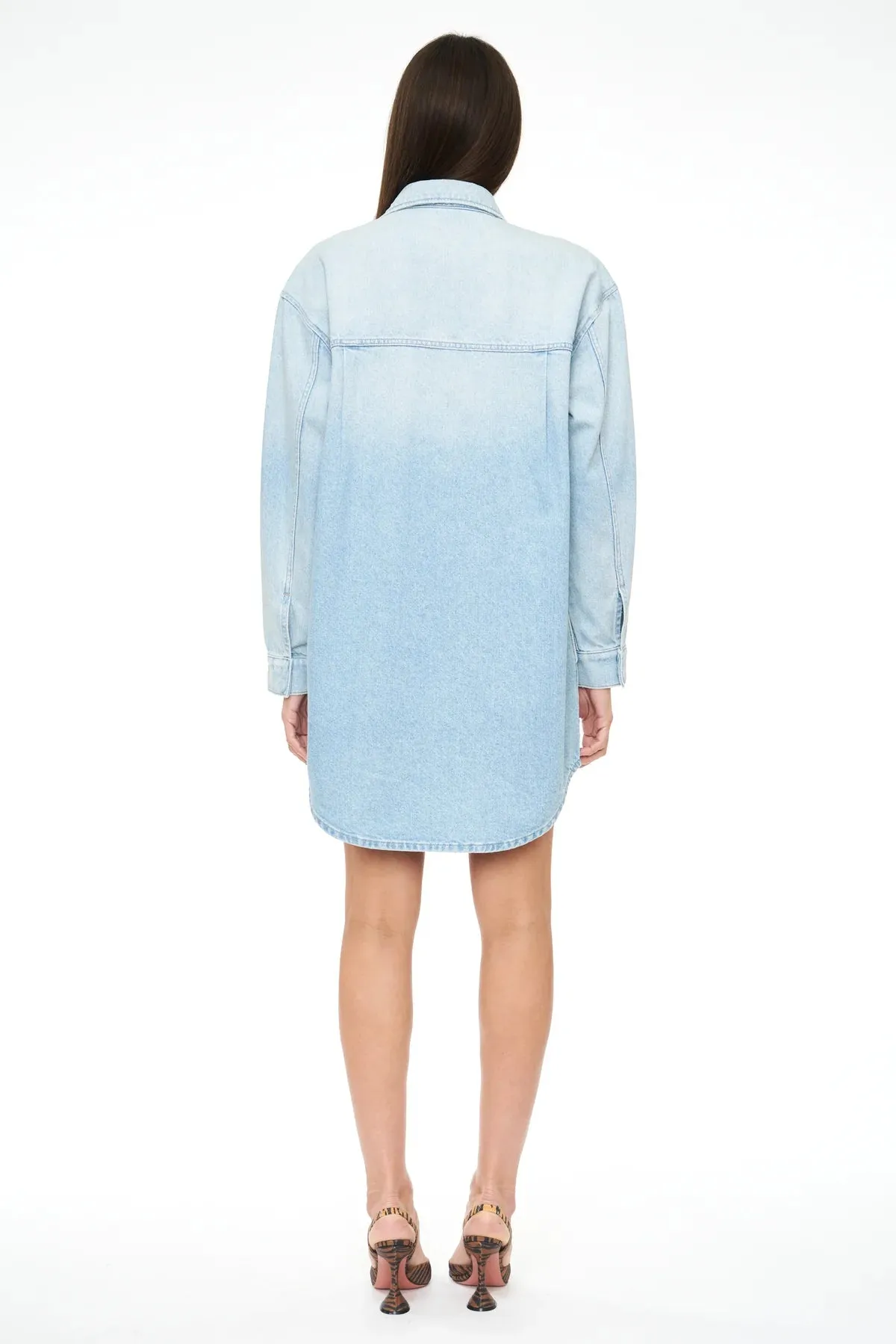 Pistola Rumor Button Down Shirt Dress in Channel