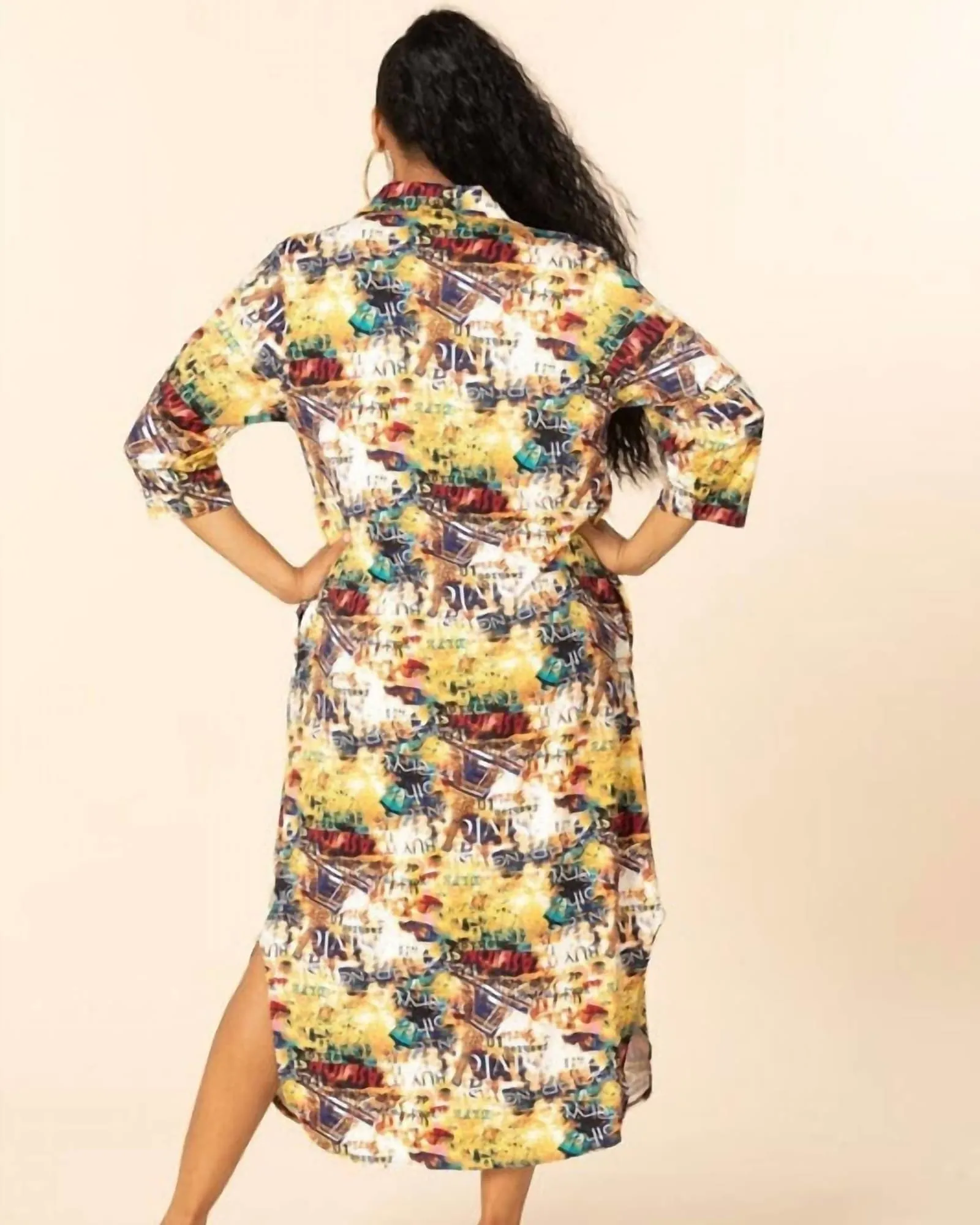 Timeless Sandra Button Down Dress in Multi | Multi